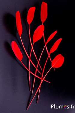 Panicule Cygne Soie - 25-30 cm - rouge